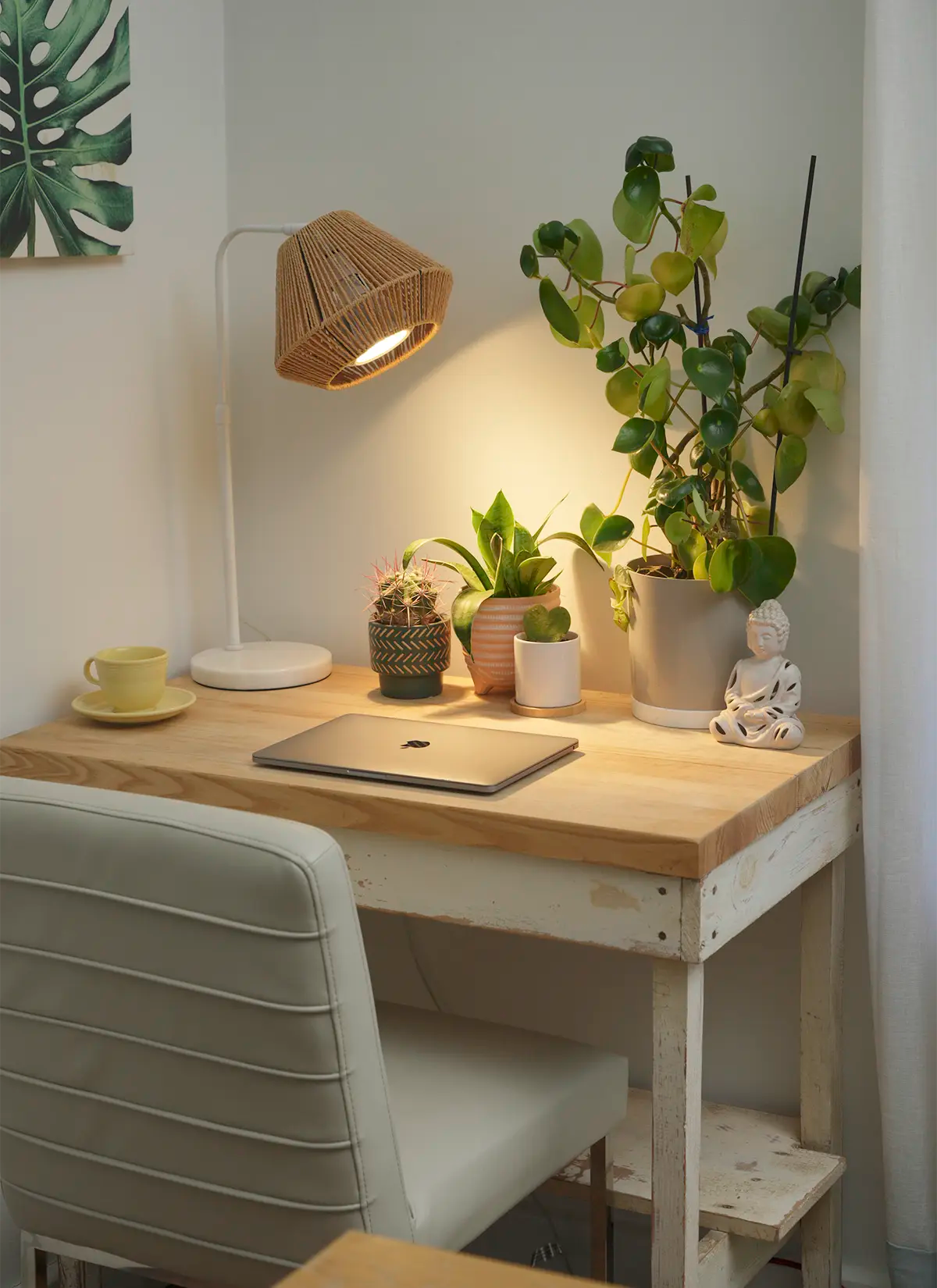 3 Plant Grow Light Stands Perfect for Renters