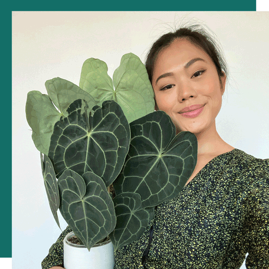 Vivien (Siloliage) | Moving Plants to a New Home & Changes to Career Path | Wine Down the Week Ep 10