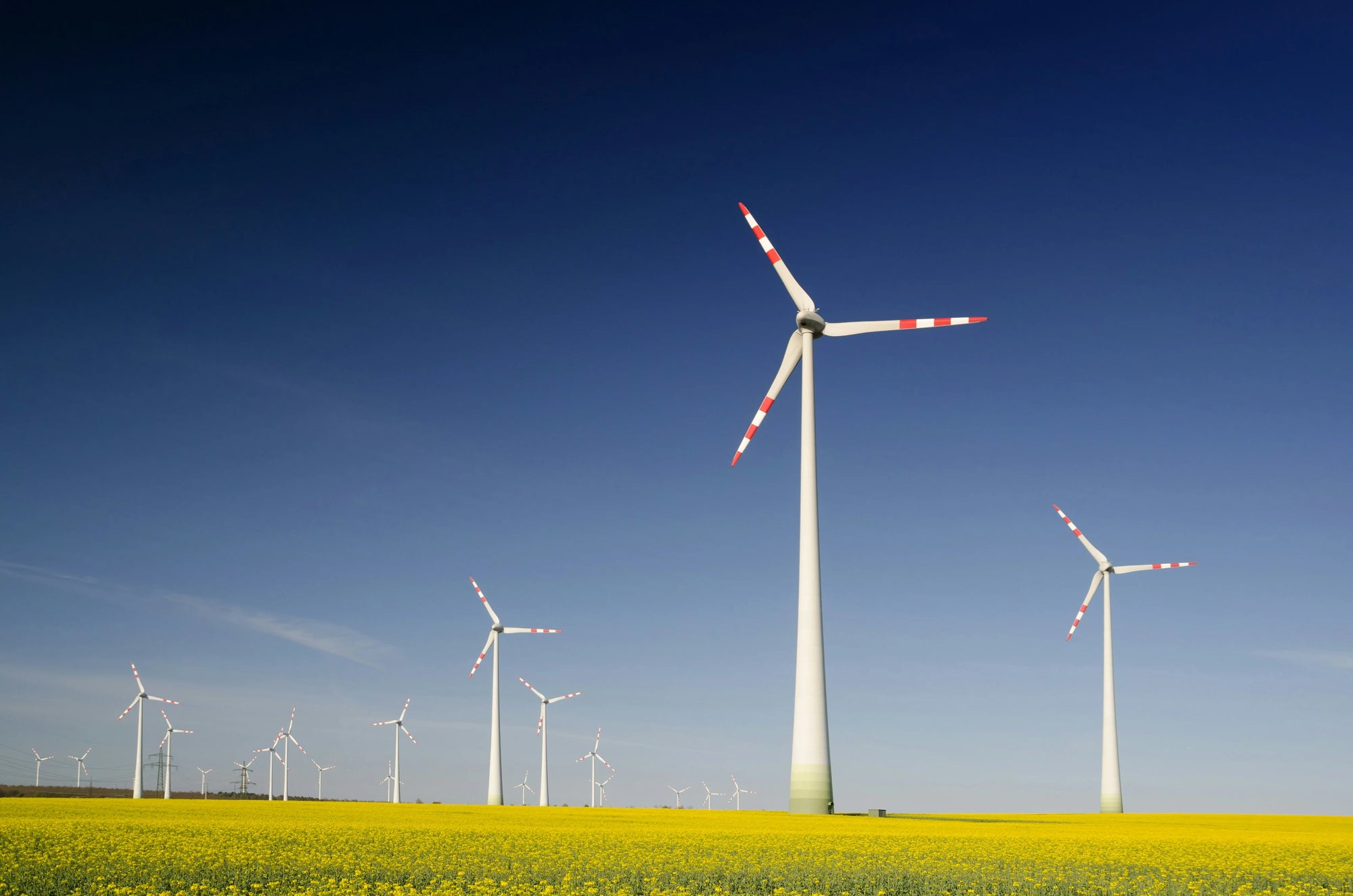 Wind turbines stand tall in a vibrant yellow field under a clear blue sky, evoking a sense of sustainable energy and tranquility.