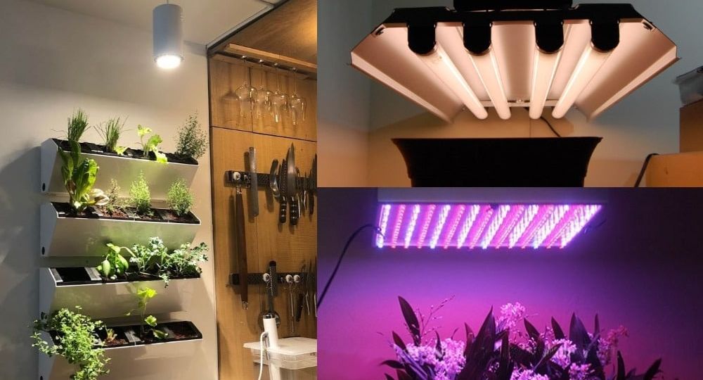 Best Growlights For Indoor Plants