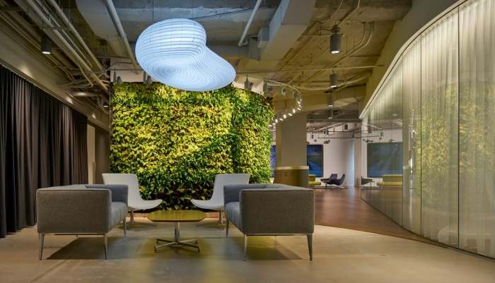 Why These 10 Companies Are Adding Plants In The Office