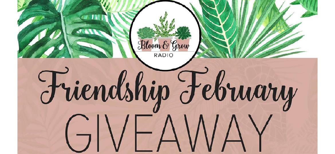 First Friendship February Giveaway! 2018