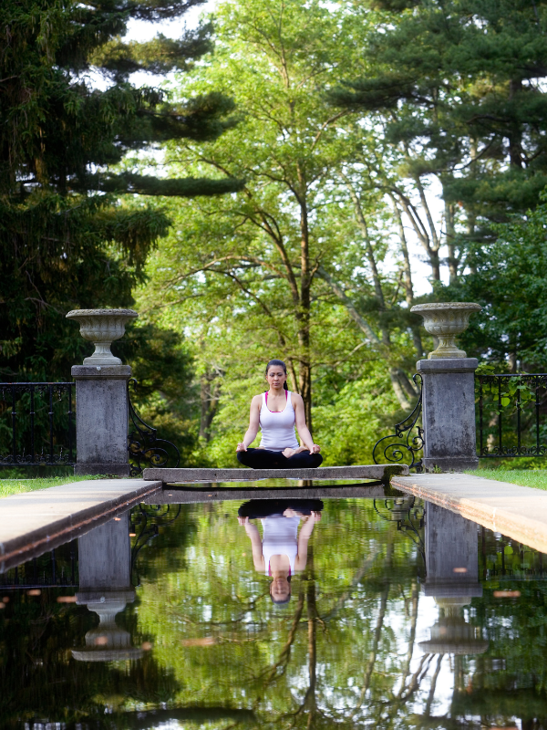 Easy Zen Garden Design: Build Your Own Meditation Space for 2024
