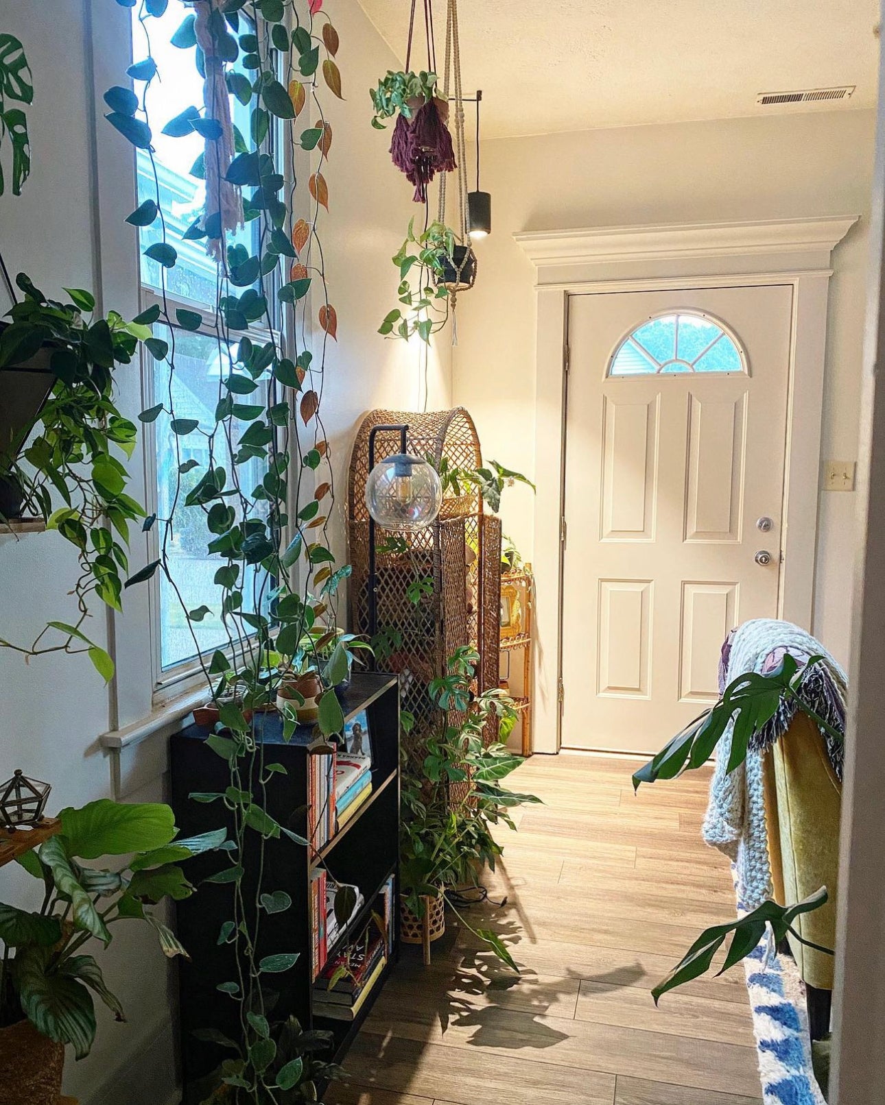 Creating a Cost-Effective Indoor Garden: A Thrifty Guide to the Gift of Green Living