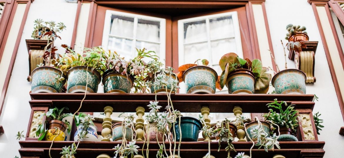 Eco Garden Planters To Save The Earth And Your Wallet Too