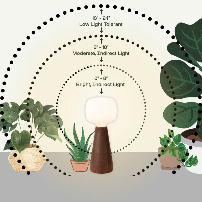Grow Light Distance Chart