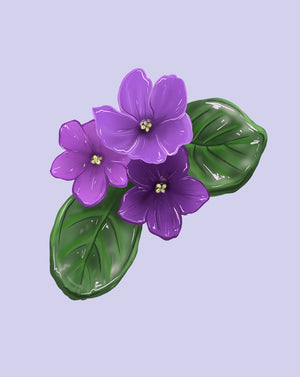 An illustration of a African Violet flower with purple petals and a green leaf.