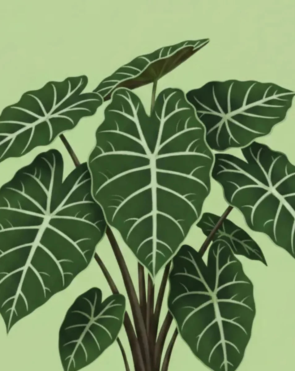 Illustration of green leaves on a light green background
