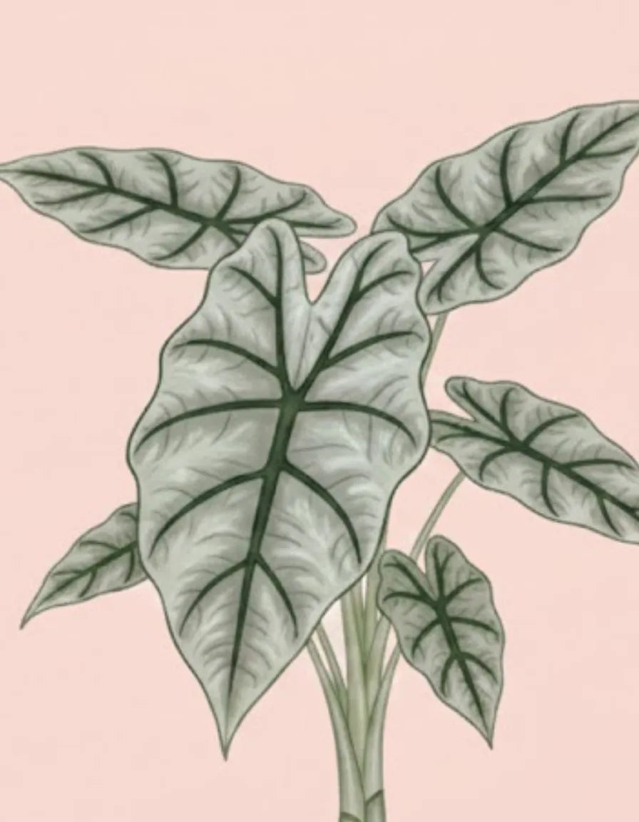 Illustration of a plant with green leaves on a pink background