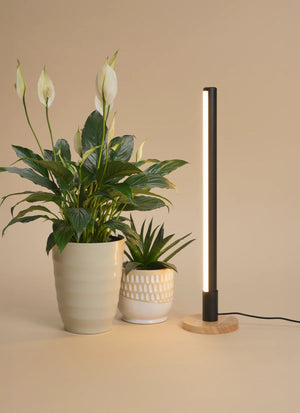 Grove™ Grow Light with Alta™ Vertical Stand Set