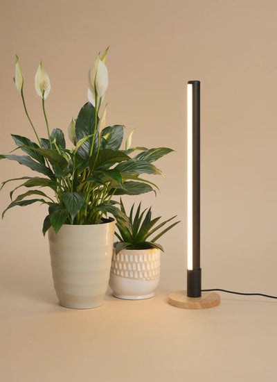 Grove Grow Light with Alta Vertical Stand Set