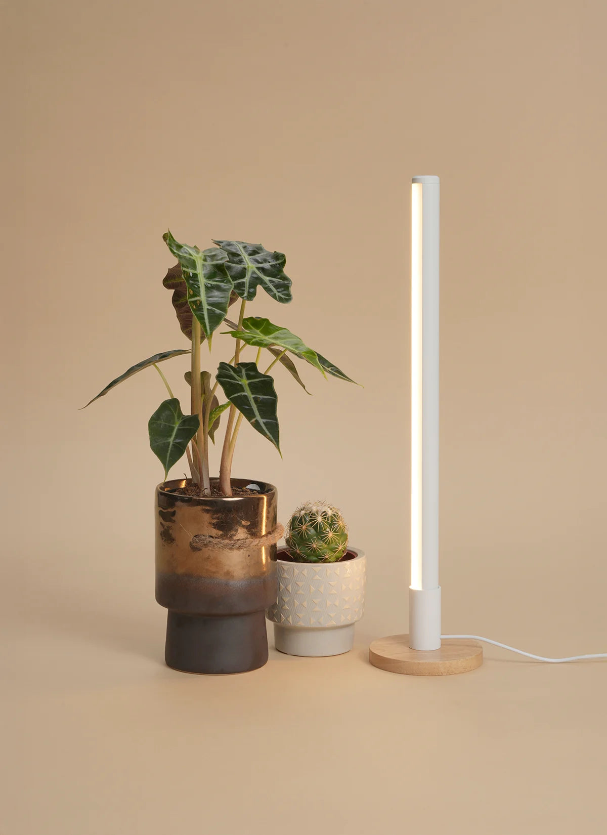 Grove Grow Light with Alta Vertical Stand Set
