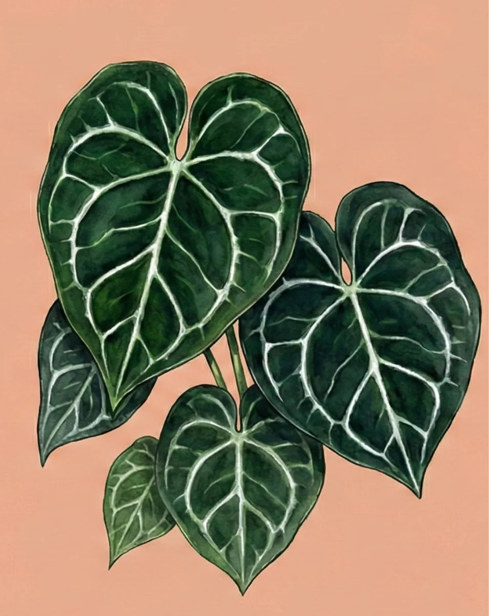 Illustration of a plant with large, dark green, heart-shaped leaves featuring white veins. Set against a soft peach background, the tone is calm and serene.