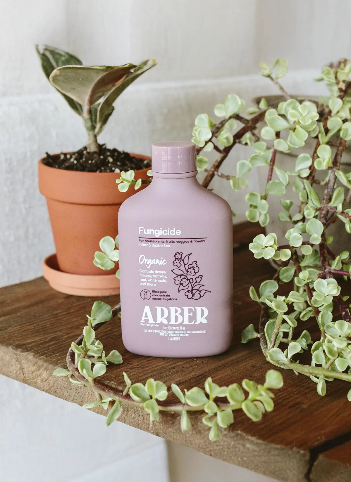 Arber × Soltech Indoor Plant Care Kit