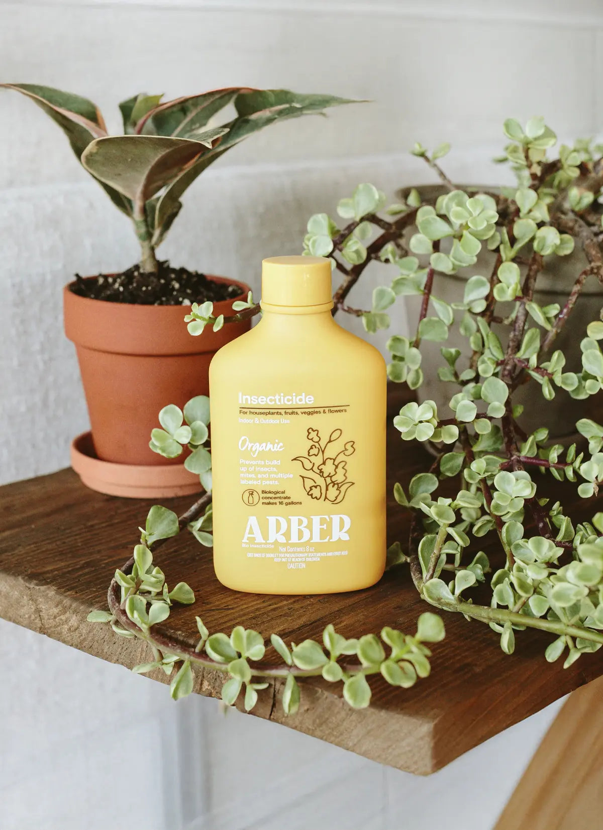 Arber × Soltech Indoor Plant Care Kit