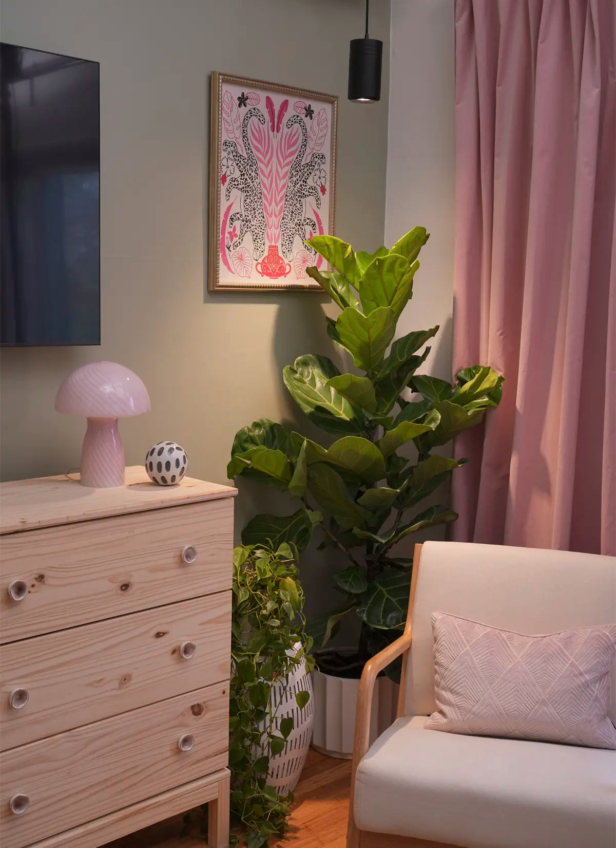 Arber × Soltech Indoor Plant Care Kit