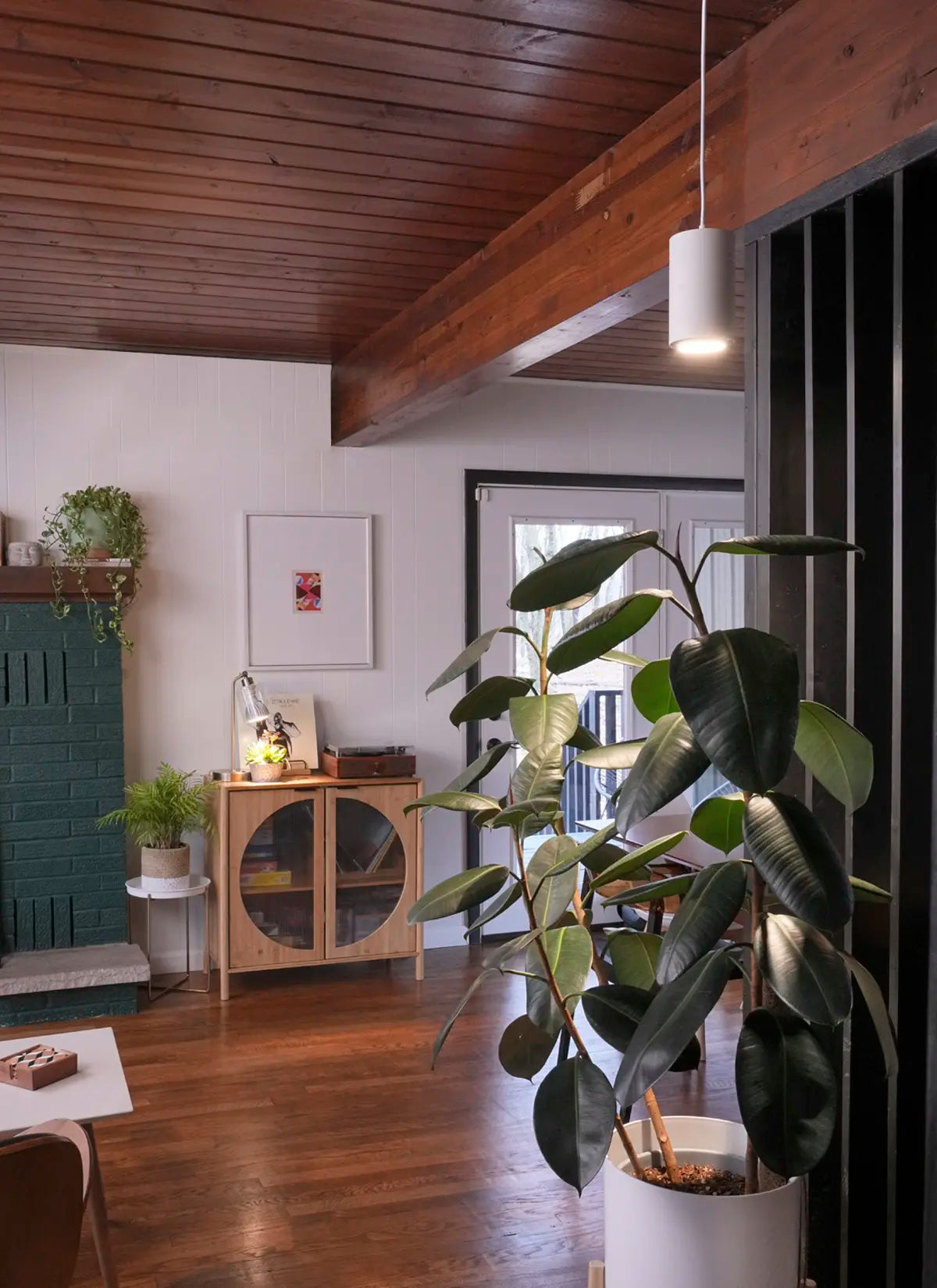 Arber × Soltech Indoor Plant Care Kit