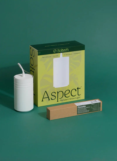 White Soltech Aspect Gen 2 with Pinocchio. Both in Boxes. Rise and Shone Bundle