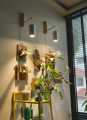 Wall-mounted plants on wooden panels are lit by two Soltech Aspects. A yellow metal shelf below supports more plants. A window lets in natural light.