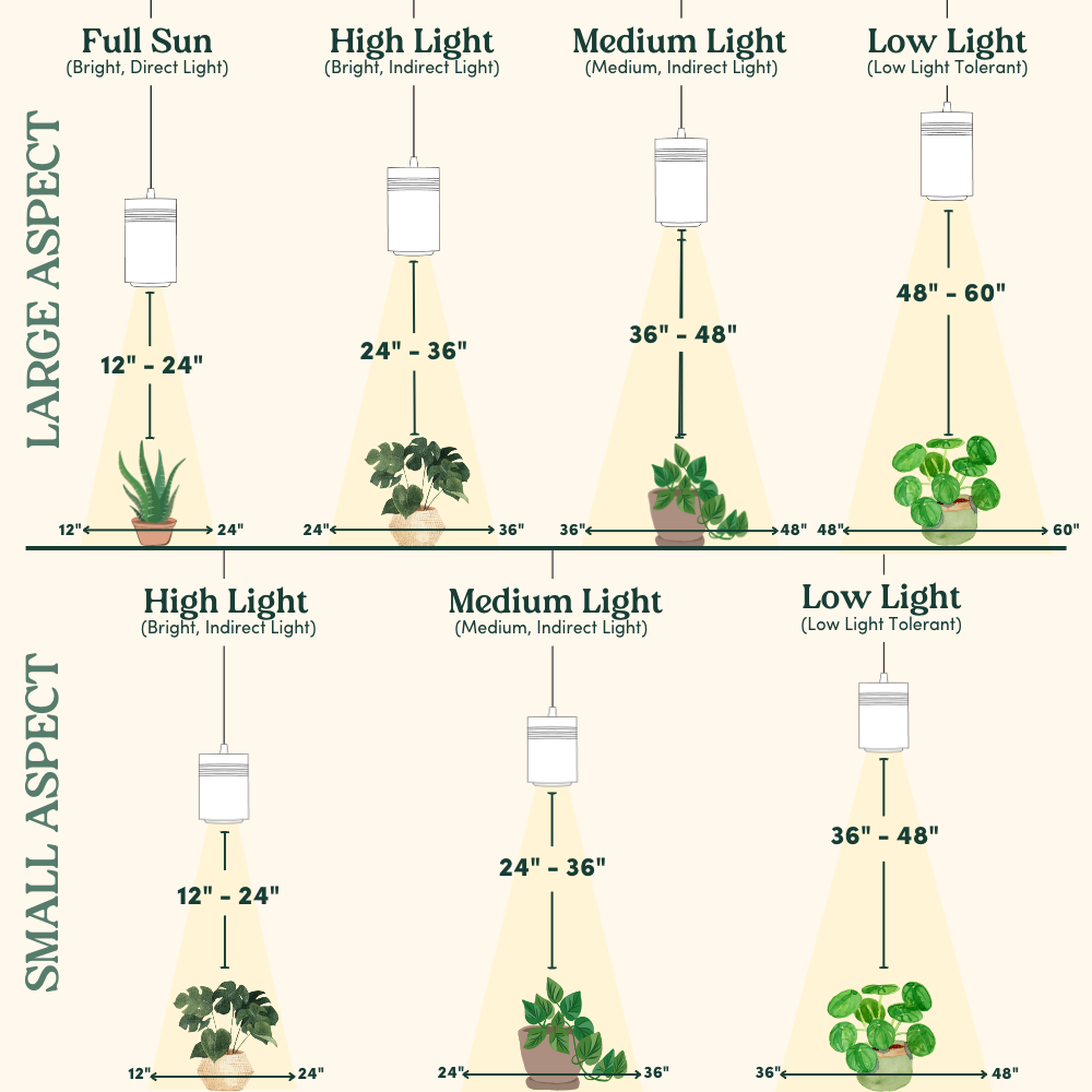 Plant Light Guide