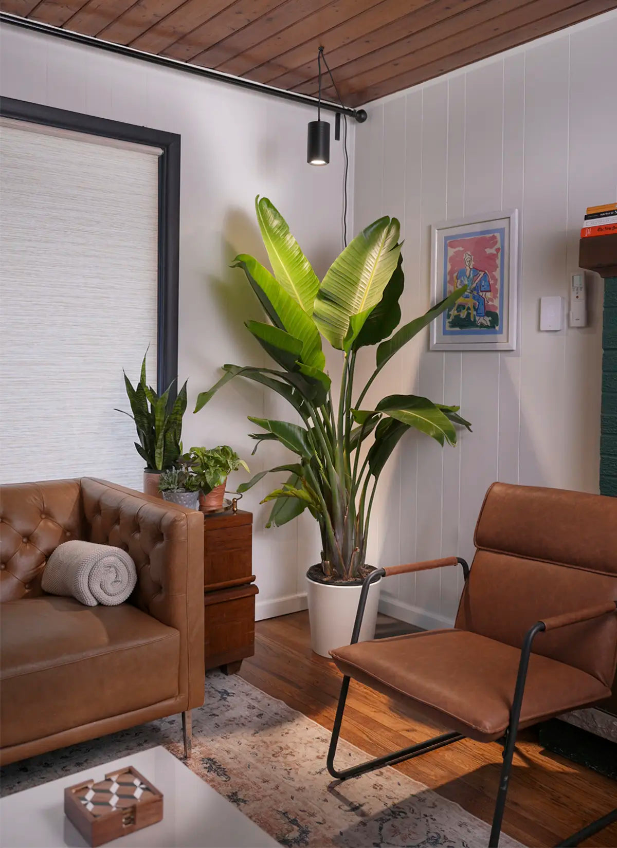 small plant light indoor Aspect Gen 2 LED Growlight