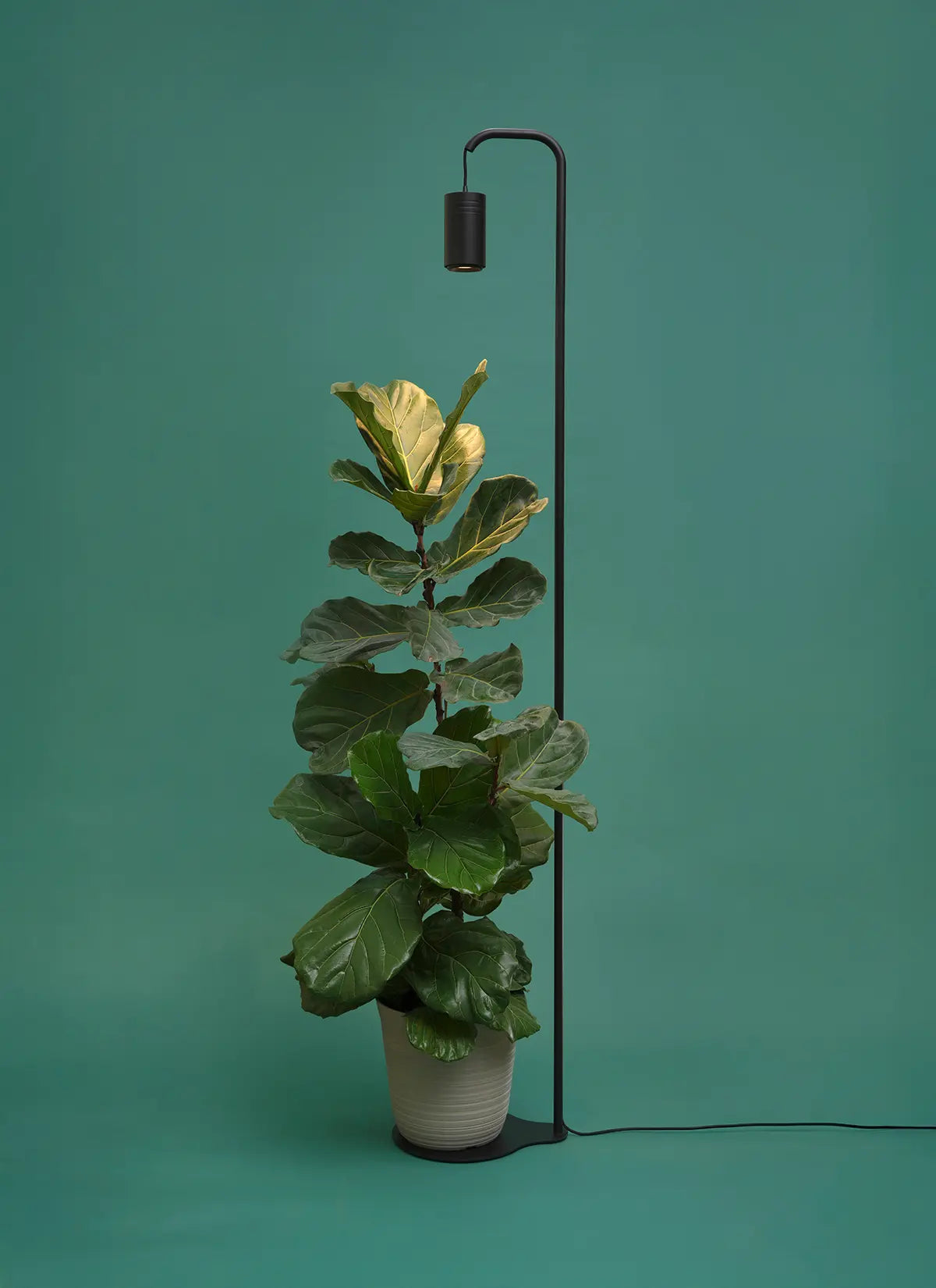 Indoor Plant Lighting For Home and Commercial Decor - Soltech