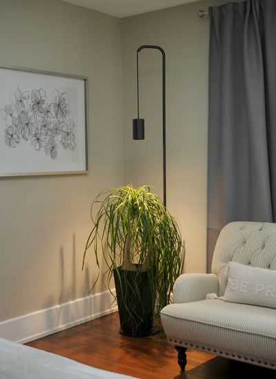 Living room with a gray armchair, potted plant, Black Soltech Stello and Aspect and framed artwork on a light green wall.