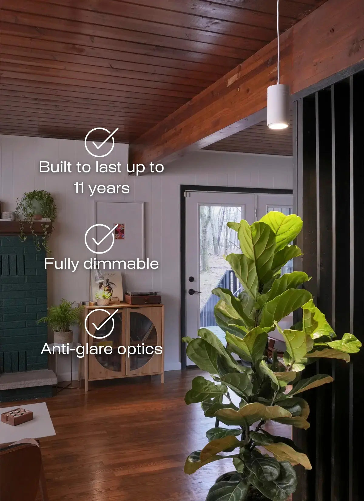 Living room with wooden ceiling and a large potted plant, featuring text about grow light product features.