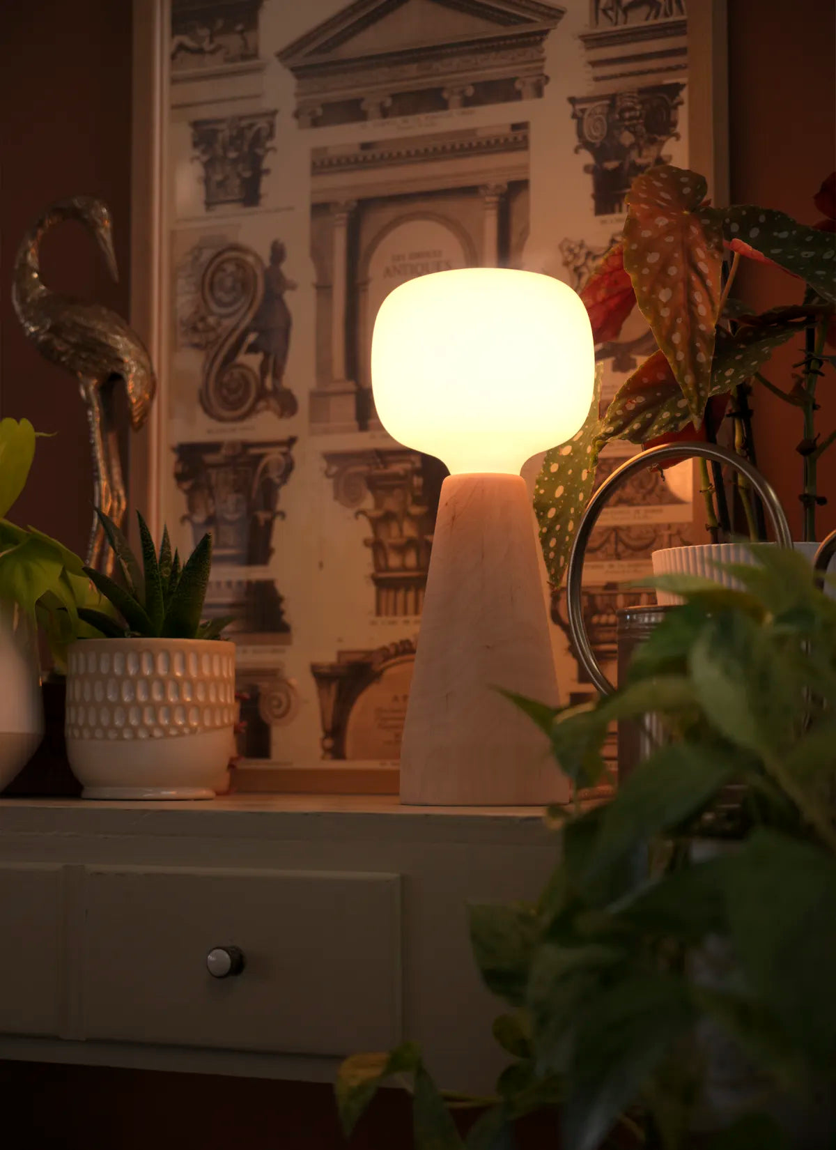 Soltech Aura on a desk with decorative items and potted plants in the background in a dimly lit room that is illuminated by the Soltech Aura.