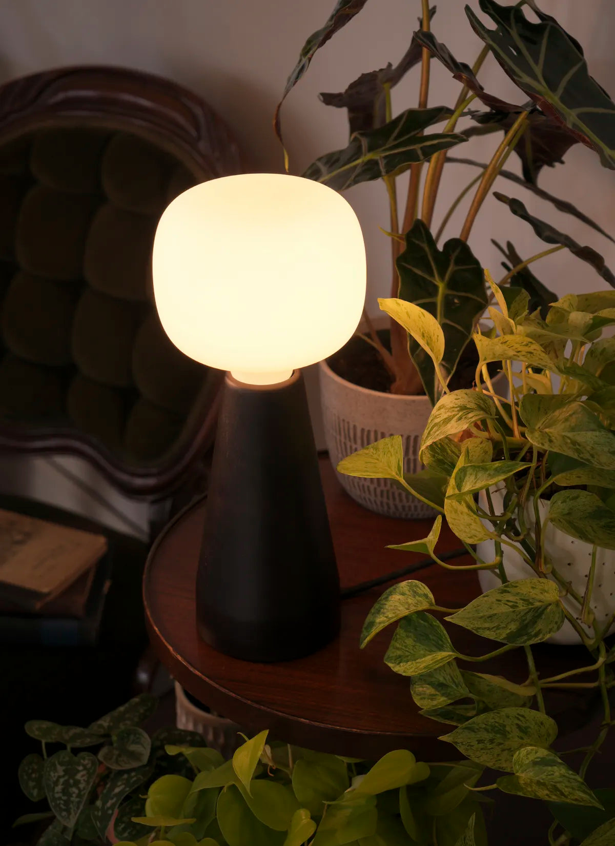 Black Soltech Aura on a wooden surface surrounded by potted plants.