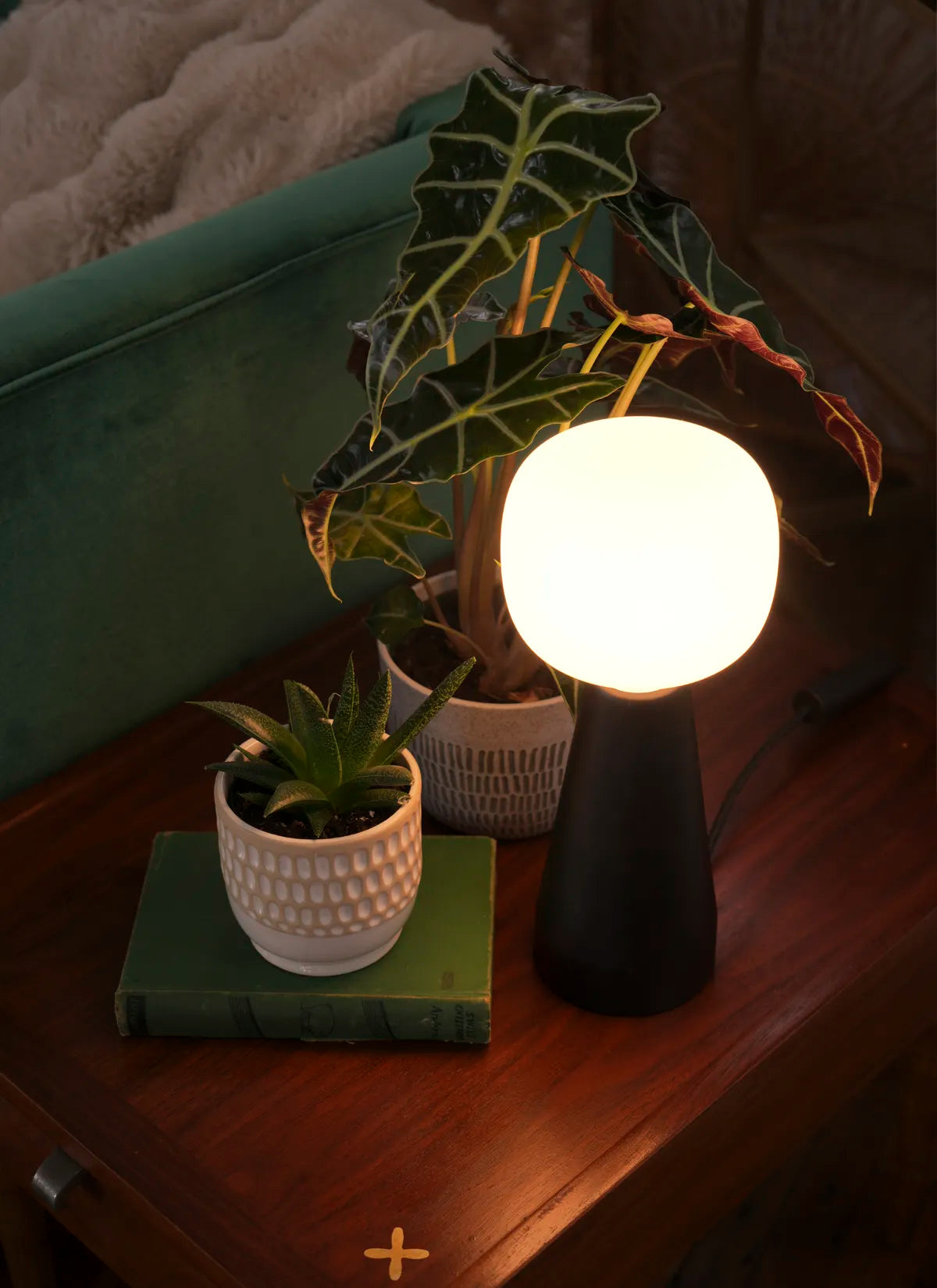 Small potted plant, book, and Soltech Aura on a wooden surface