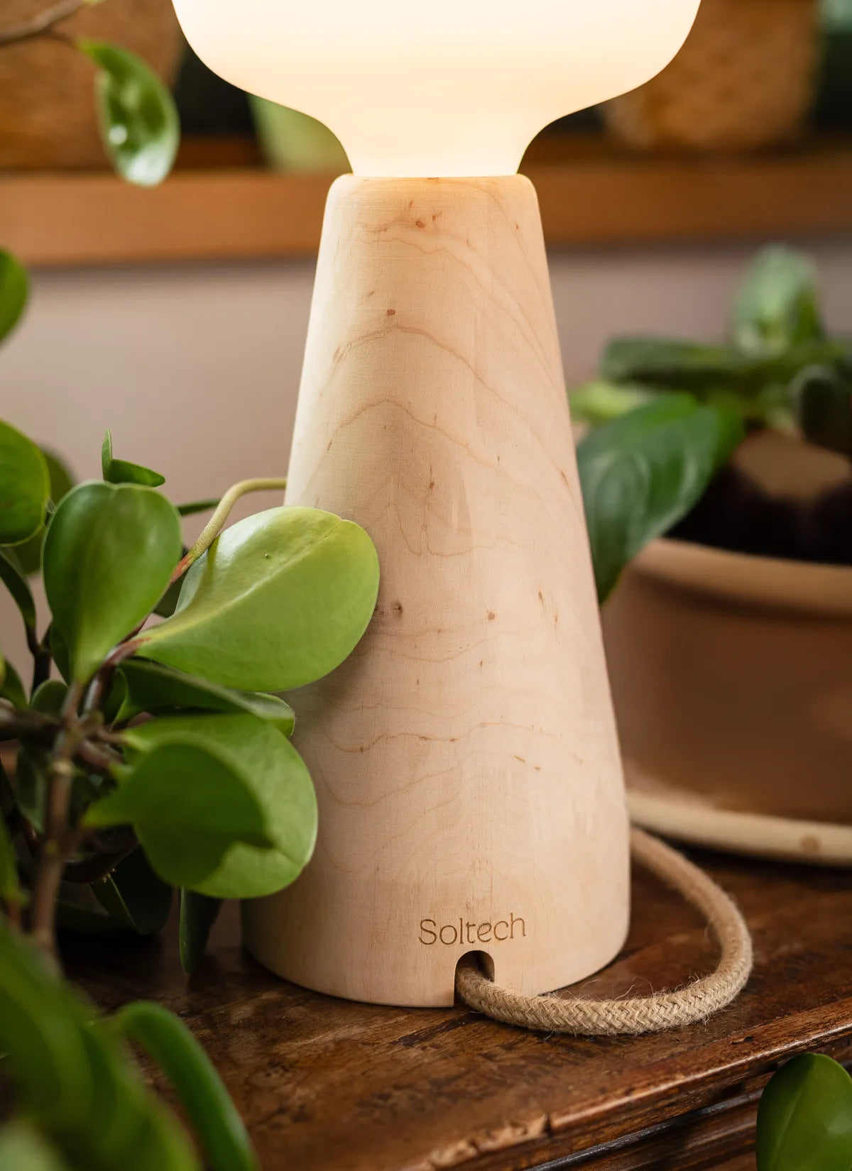 Base of Soltech Aura showcasing 'Soltech' branding etched into the Aura with plants in the background