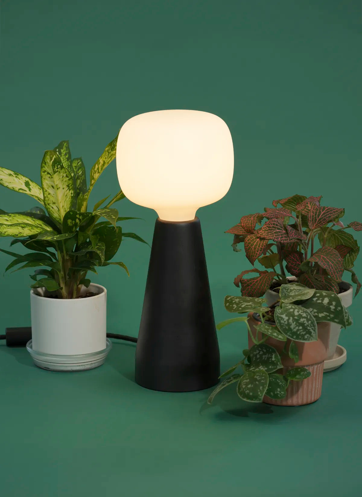 Soltech Aura surrounded by potted plants on a green background.