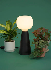 Small Aspect Grow Light