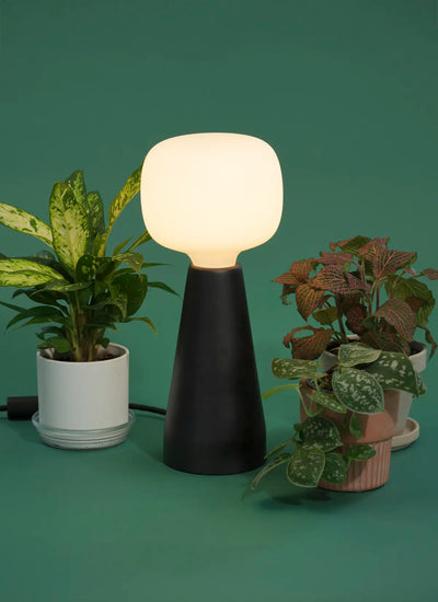 Soltech Aura surrounded by potted plants on a green background.