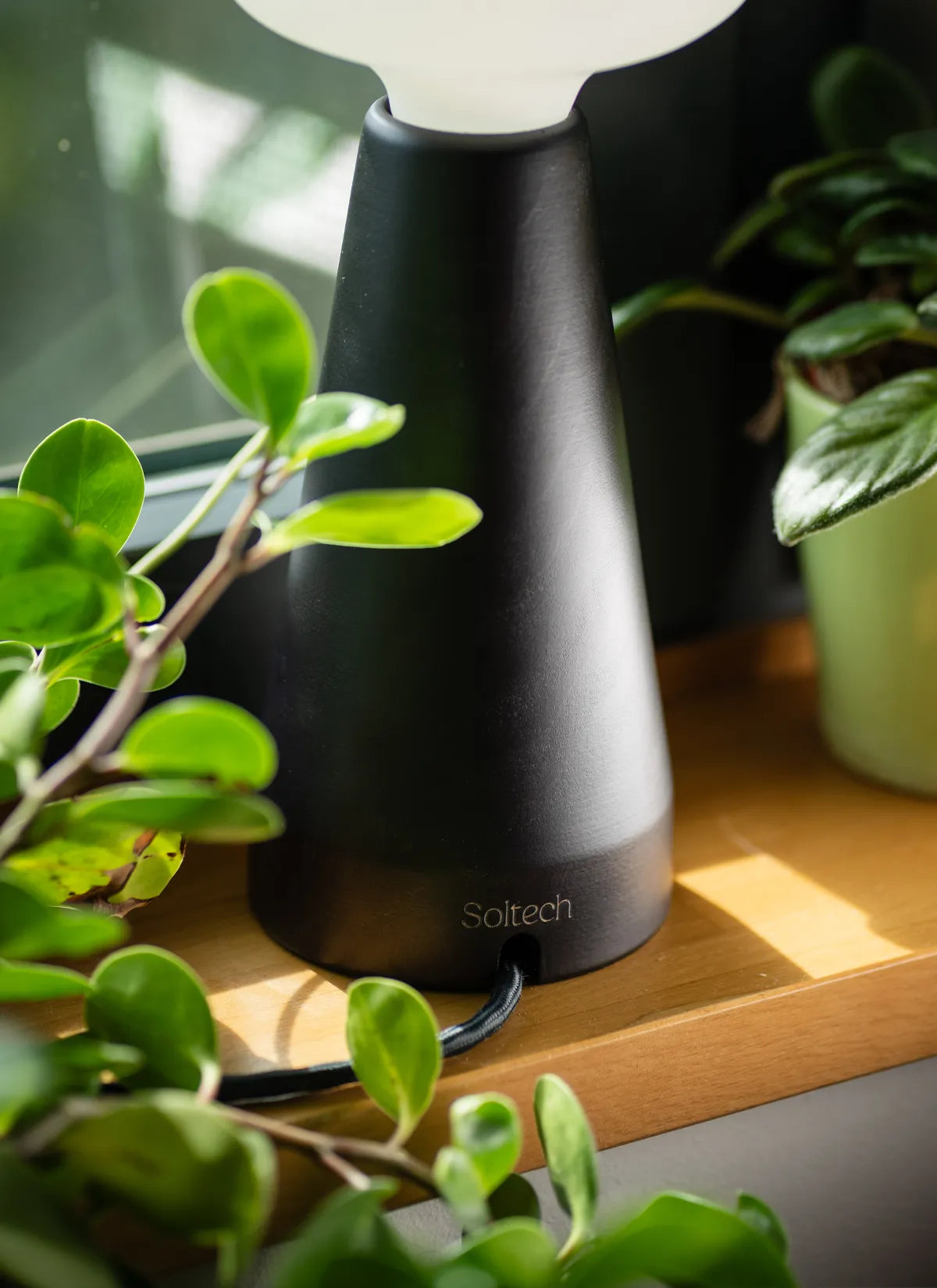 Base of Soltech Aura showcasing 'Soltech' branding etched in surrounded with green plants.