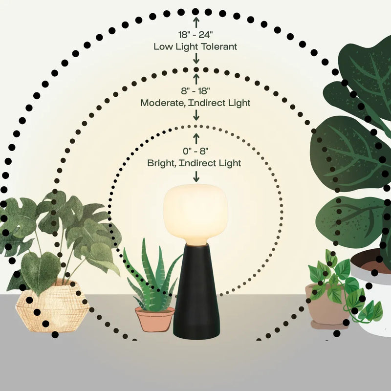 Grow Light Distance Chart