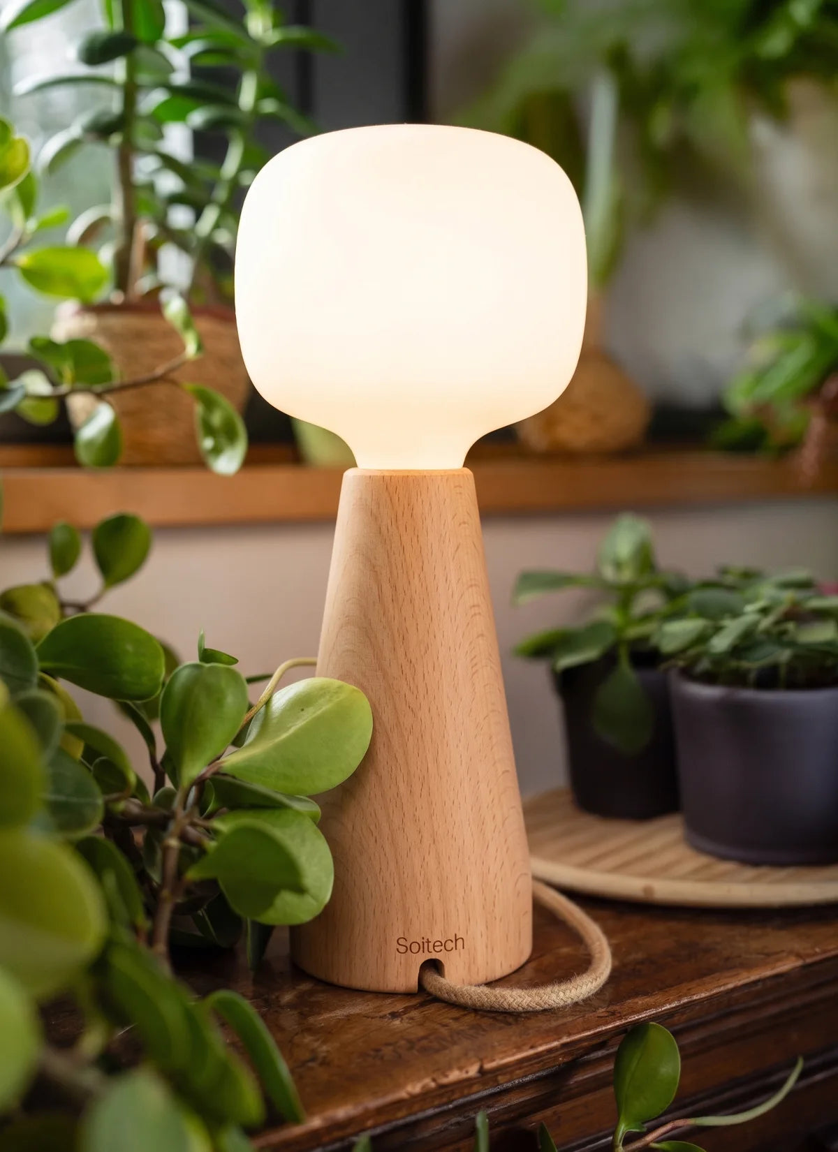 Lampe de croissance ambiante Aura™