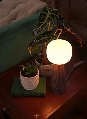 Lampe de croissance ambiante Aura™