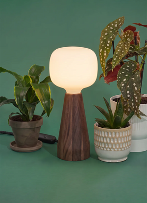 Lampe de croissance ambiante Aura™