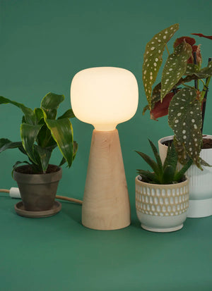 Soltech Aura with its glowing light bulb surrounded by potted plants on a green background