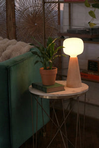 Small Aspect Grow Light