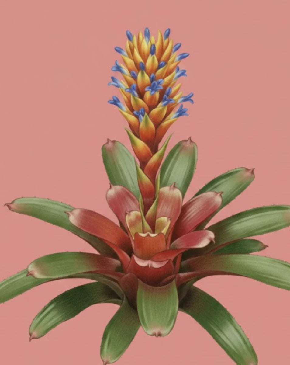 Tropical plant with red and green leaves on a pink background