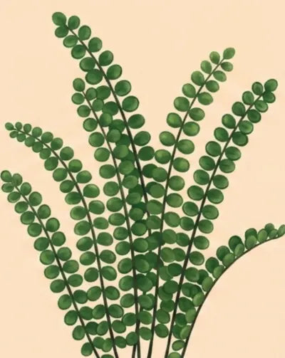 Illustration of a green fern-like plant on a beige background