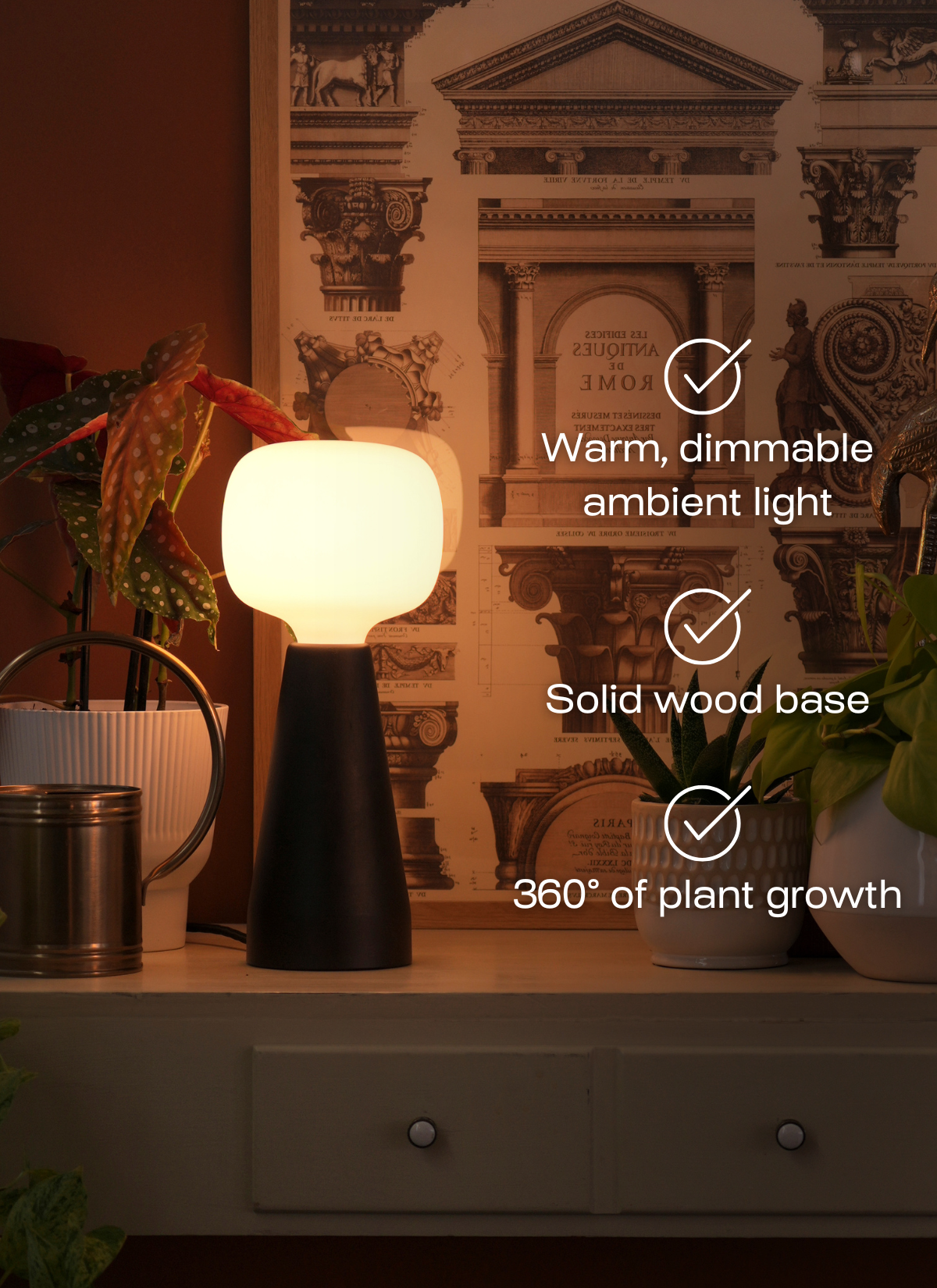 Soltech Aura on a surface with decorative elements in the background