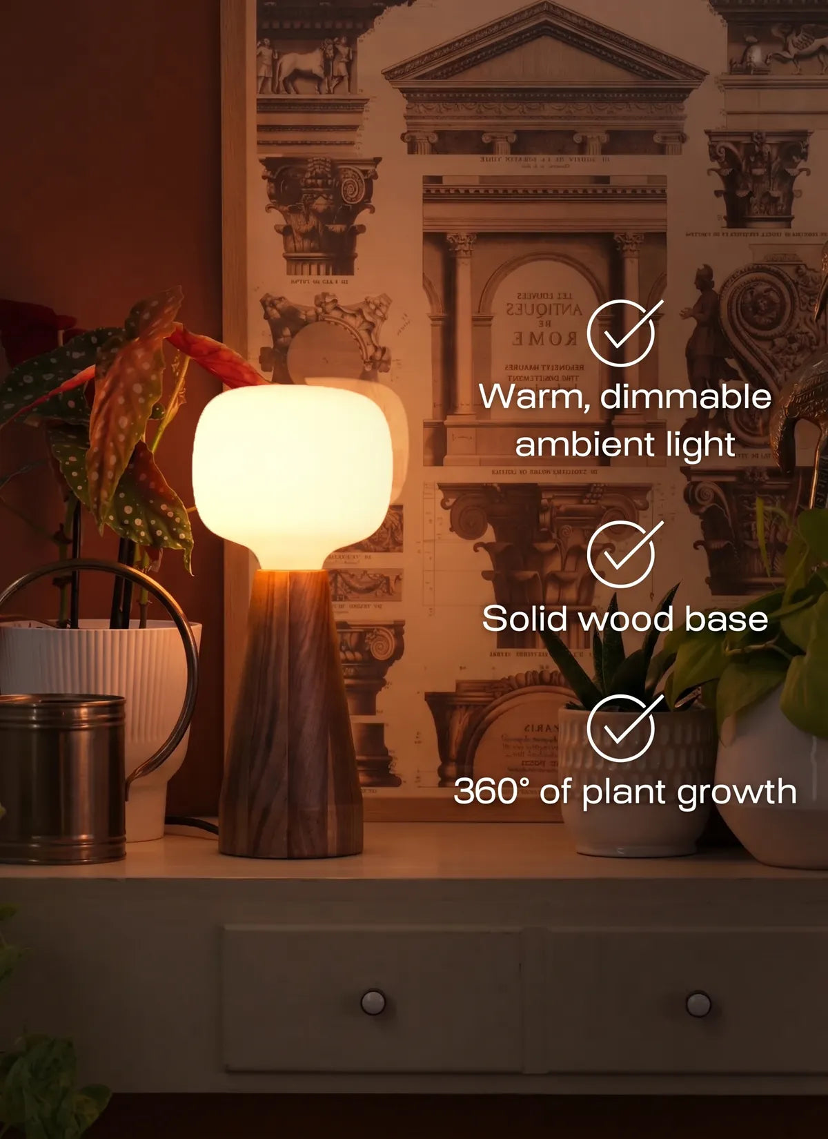 Lampe de croissance ambiante Aura™