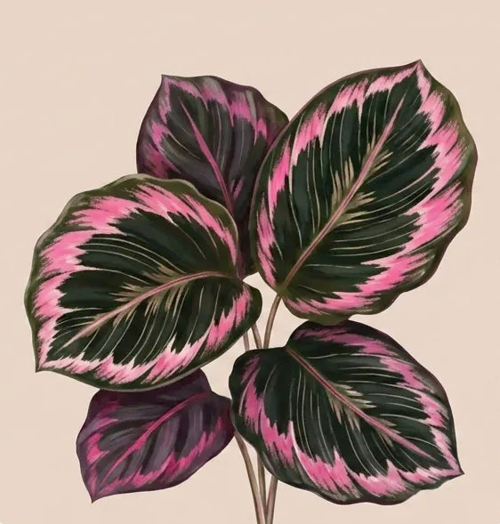 Artistic illustration of leaves with pink and black patterns on a beige background