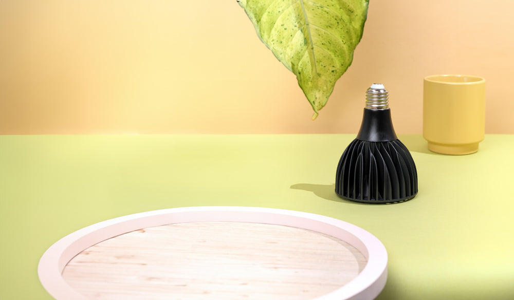 Vita Grow Guide - How to Grow Plants with a Vita Grow Light Bulb - Soltech