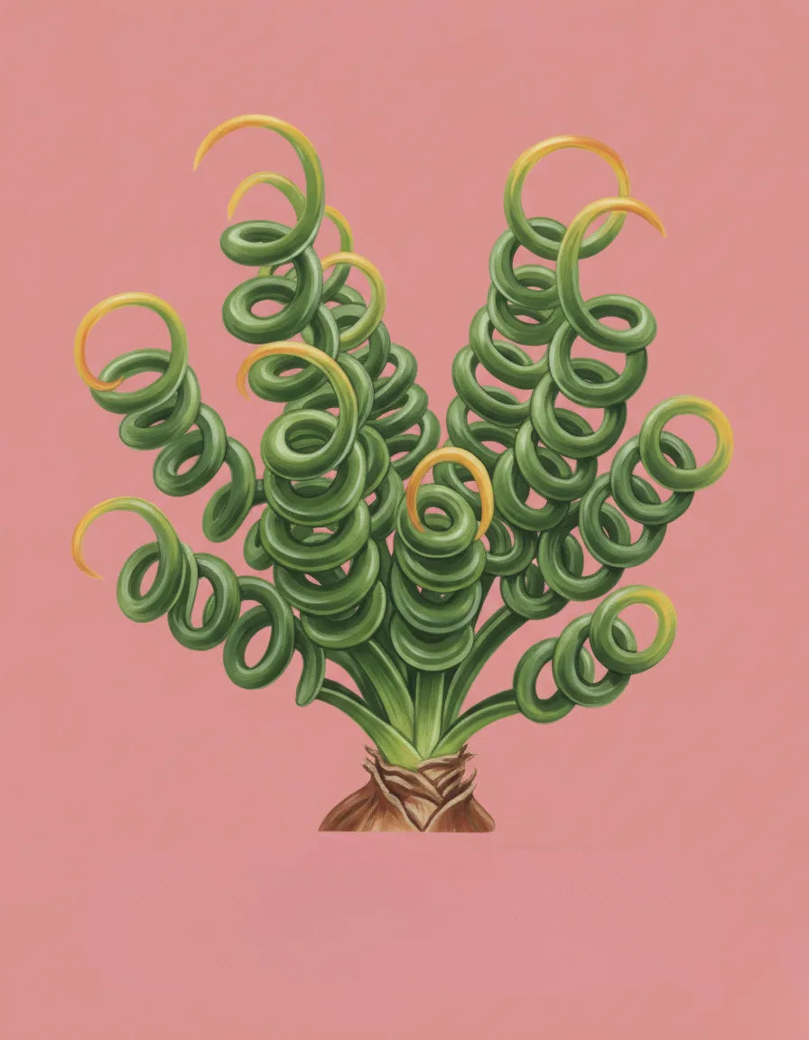 Artistic illustration of a spiral green plant on a pink background