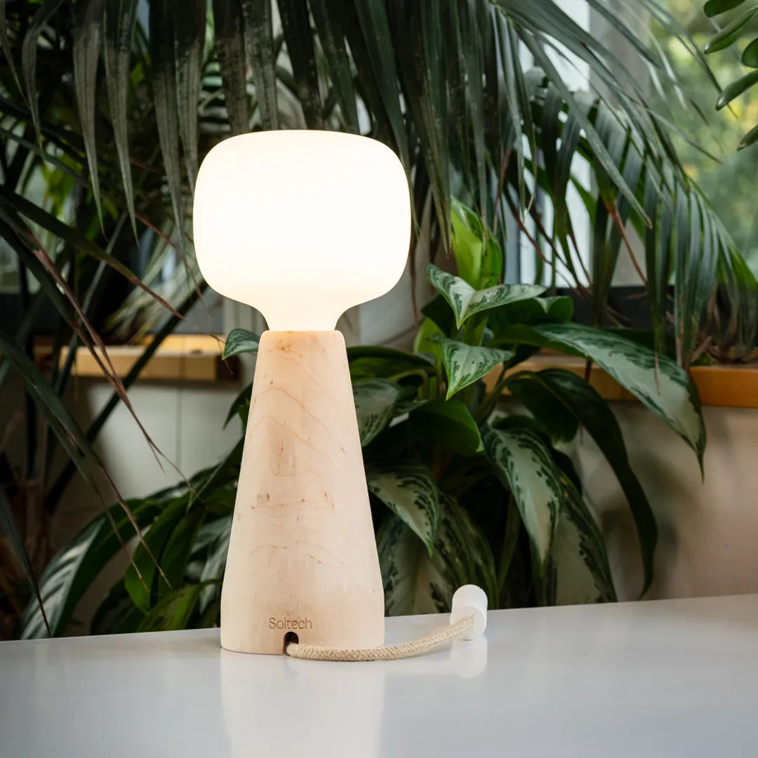 Soltech Aura on a surface with plants in the background